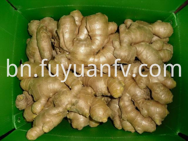 air dried ginger 